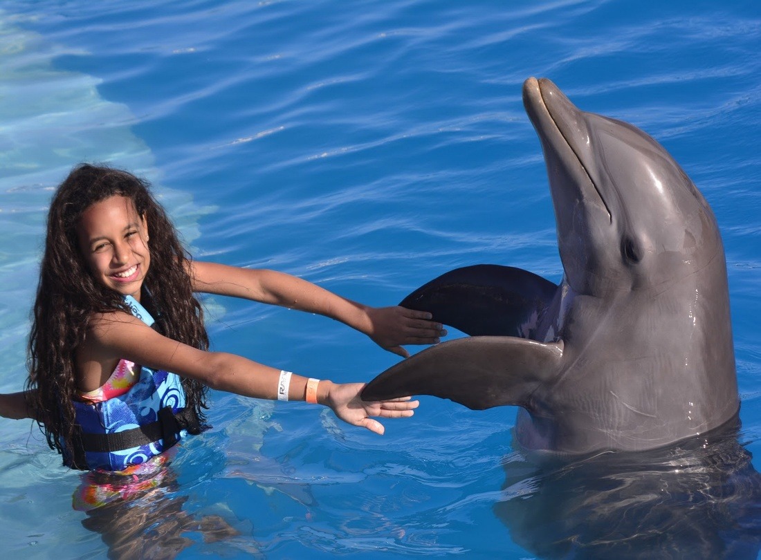 dolphin descovery punta cana dominican republic